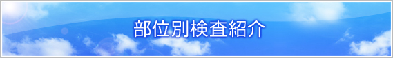 部位別検査紹介