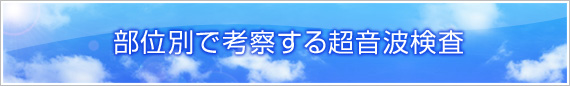 部位別で考察する超音波検査